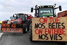 Accord Mercosur : Un Répit pour les Agriculteurs&nbsp;Français