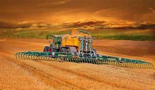 Quand le prix du chou dépend de Khamenei et de Netanyahu